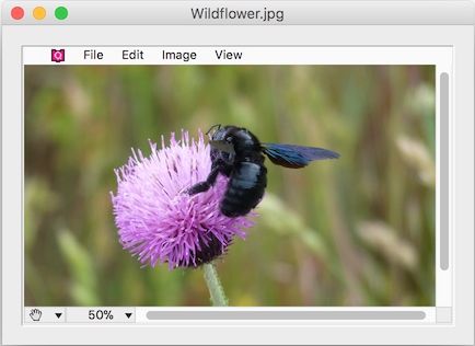 QPix Plugin Area