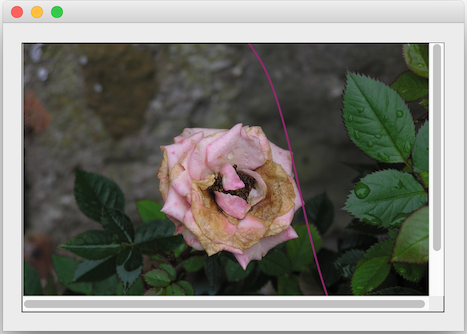 Plain Image Area