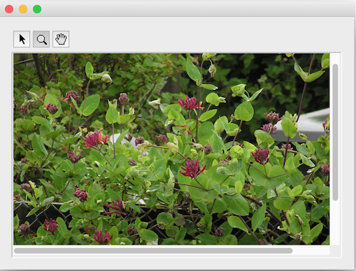 Simple Viewer Area