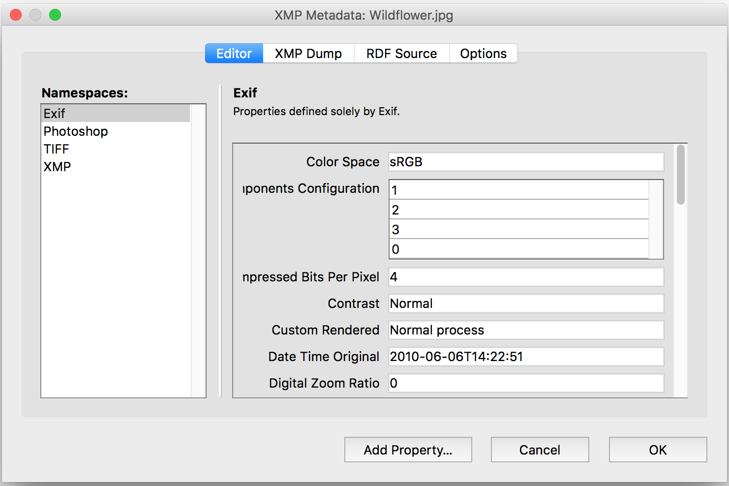 XMP Editor - Developer Mode