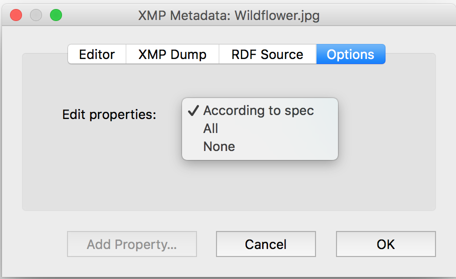 XMP Editor - Developer Mode Options